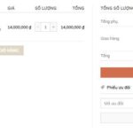 Mẫu website bán đồng hồ thời trang - BH27 13 Chức năng Thanh toán - Mẫu website bán đồng hồ thời trang - BH27