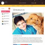 Giao diện Mẫu website bệnh viện thú cưng - DN06 - Chi tiết tin tức