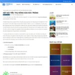 Mẫu website bán tổng hợp giống voso.vn - BH22 14 Mẫu website bán tổng hợp giống voso.vn - BH22 - Chi tiết Tin tức