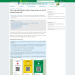 Giao diện mẫu website giống Bachhoaxanhcom - Chi tiết tin tức