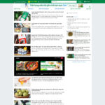 Mẫu website giống bachhoaxanh.com - BH37 10 Giao diện mẫu website giống Bachhoaxanhcom - Tin tức